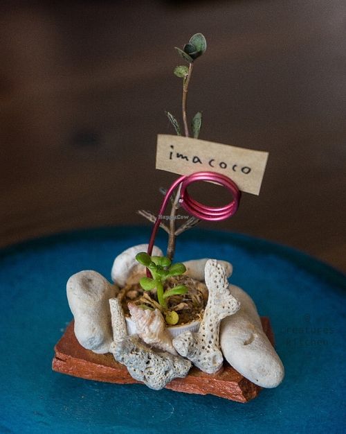 "Imacoco" means "here, now" in Japanese :) at Imacoco in Okinawa