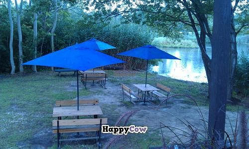 Sea Star, seating area  at Sea Star Cafe in Chincoteague