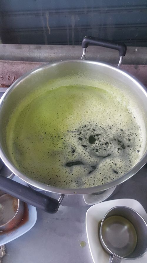 chlorophyll drink at Pang Vegetarian in Udon Thani