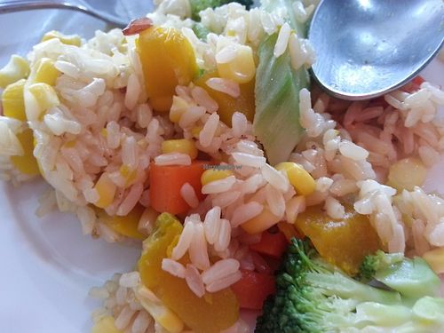 fried rice (brown rice) at Pang Vegetarian in Udon Thani