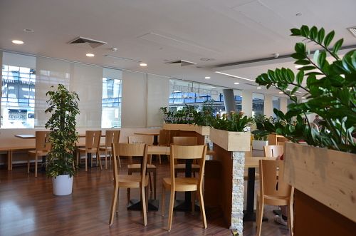 interior at Veganland - Karlovo Namesti in Prague
