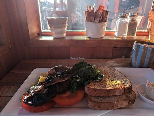 Vegan brekkie at Sandfly Cafe in Te Anau