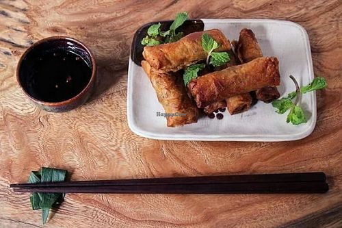 Organic Spring Rolls  at KOLO in Hoi An