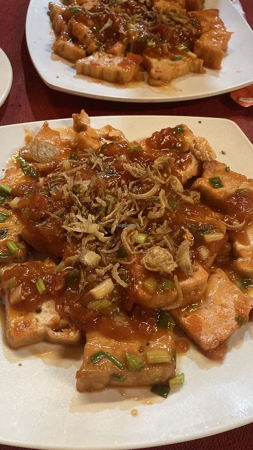 Tofu in tomato sauce, crazy portion with rice!  at Hi Foodcourt Stall in Hoi An
