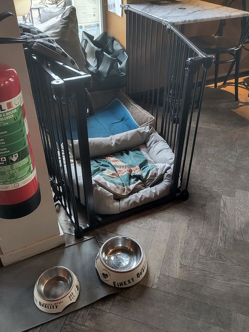 Dog bed at Kaffabar in Brussels