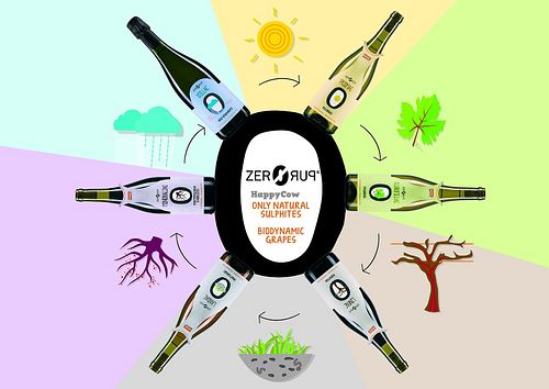 Vegan Organic Wine at Core Green Organic & Fairtrade in Santa Venera