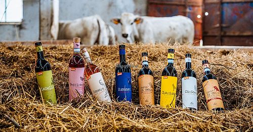 Vegan Organic Wine at Core Green Organic & Fairtrade in Santa Venera