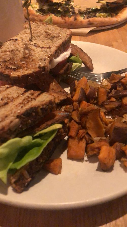 Tempeh  at True Food Kitchen in Fairfax