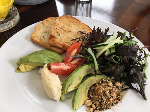 avocado toast  at Villa 23 in Christchurch