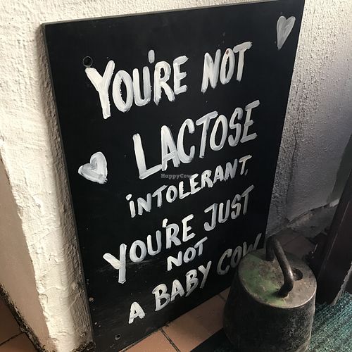 True at Karu Talu Šokolaad  in Tallinn