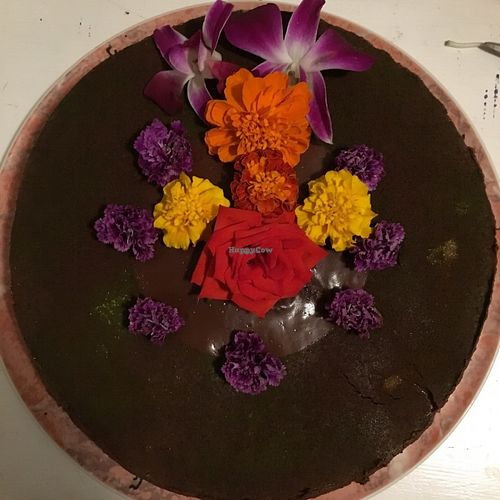 Cashew "cheese" cake! at Vegan To Go in Simpson Bay