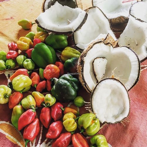 The fresh produce from the garden! at Vegan To Go in Simpson Bay