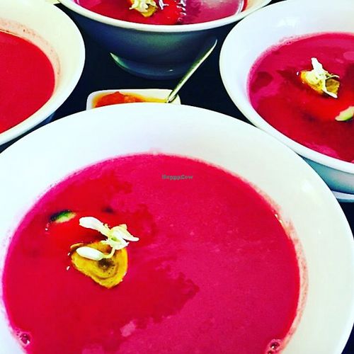 Warm cumin beet root soup at Vegan To Go in Simpson Bay