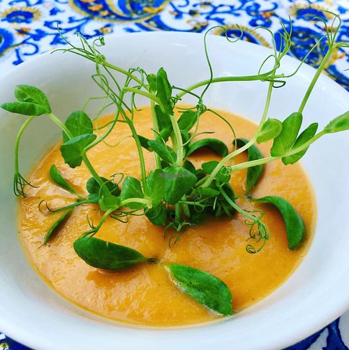 Yummy soup with fresh micro greens  at Vegan To Go in Simpson Bay