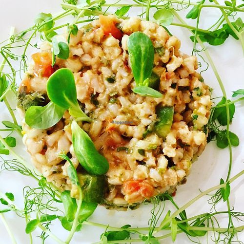 Armenian Tabouleh!  at Vegan To Go in Simpson Bay