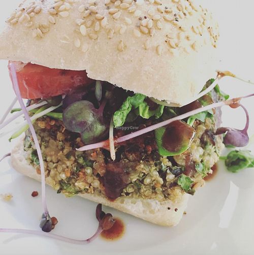 Yummy kale and quinoa burger at Vegan To Go in Simpson Bay