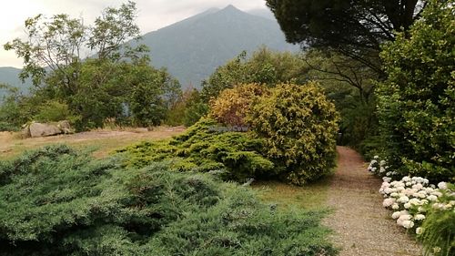 panorama nel verde at Il Giardino del Sole in Borgofranco Divrea