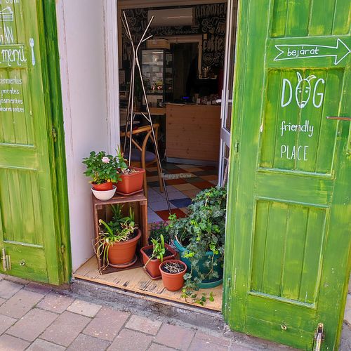 utcafront  at Vital Cafe & Bistro  in Gyor