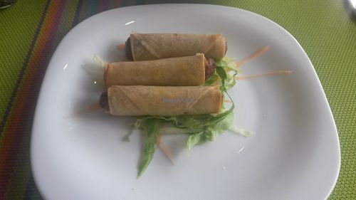Spring rolls at Lotus Vegan Cuisine in Glasgow
