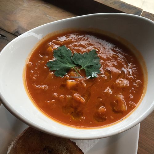 soup of the day (vegan tomato) at Taproot Cider House in Traverse City