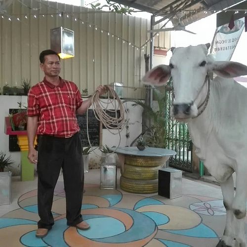 Safety Place   at Eco Vegetarian Kampot in Kampot