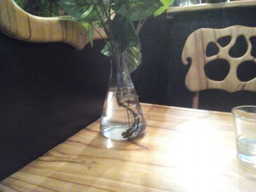 Beaker vase. at Elixiba in Byron Bay