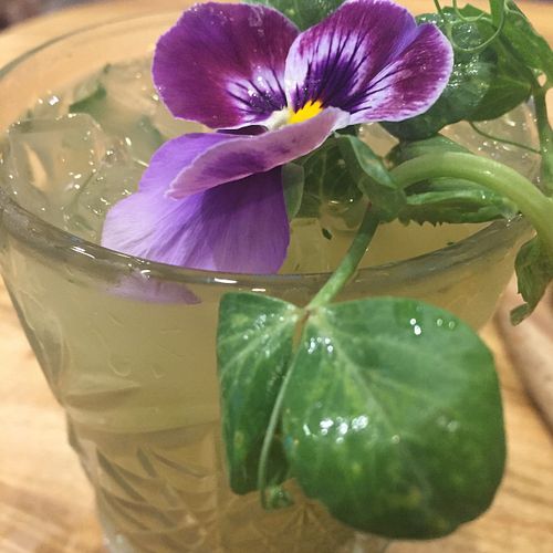 Spiced Mojito...a mambo and rhumba in my mouth...aribe!!! at Elixiba in Byron Bay