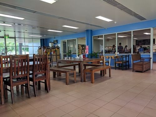 Comfy cafeteria seating  at Kings Wholefood Artisan in Palmerston