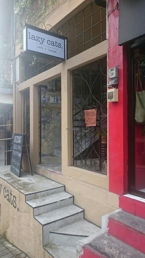 Entrance to the Lazy Cats at Lazy Cats  in Ubud