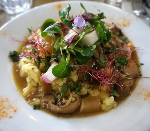 Stew of mushrooms + Mashed Potatoes at L'Abattoir Vegetal - Guisarde in Paris