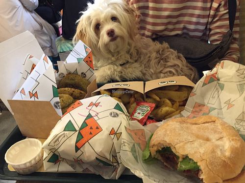 Pets welcome  at La Trocadero in Barcelona