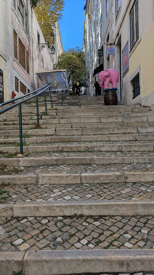 Approach (just past the pink elephant) at Organi Chiado in Lisbon