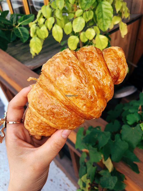 Vegan croissant YUM at OOH Breado - 우부래도 in Seoul