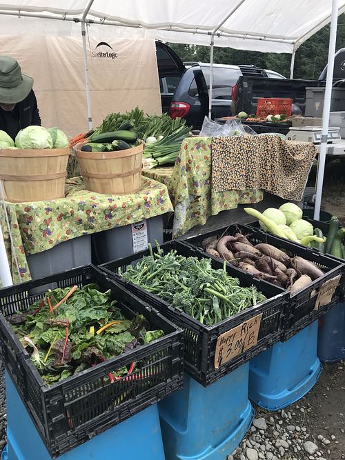 Bountiful vegs at Homer Farmers Market in Homer