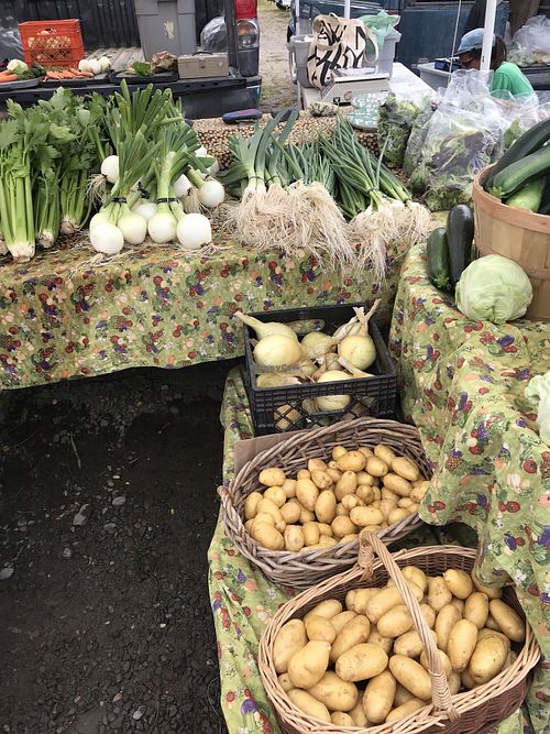 Potatoes! at Homer Farmers Market in Homer