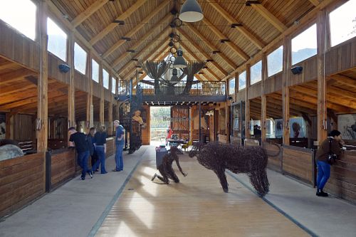 Farm Sanctuary SA
  at Farm Sanctuary SA in Franschhoek