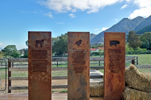 Farm Sanctuary SA
  at Farm Sanctuary SA in Franschhoek