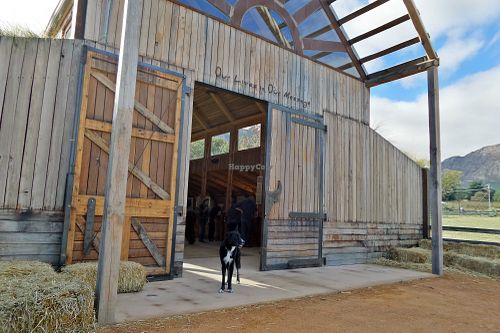 Farm Sanctuary SA
  at Farm Sanctuary SA in Franschhoek