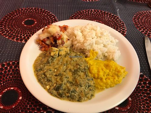 Bata at Congolinaria - Alfonso Bovero in Sao Paulo