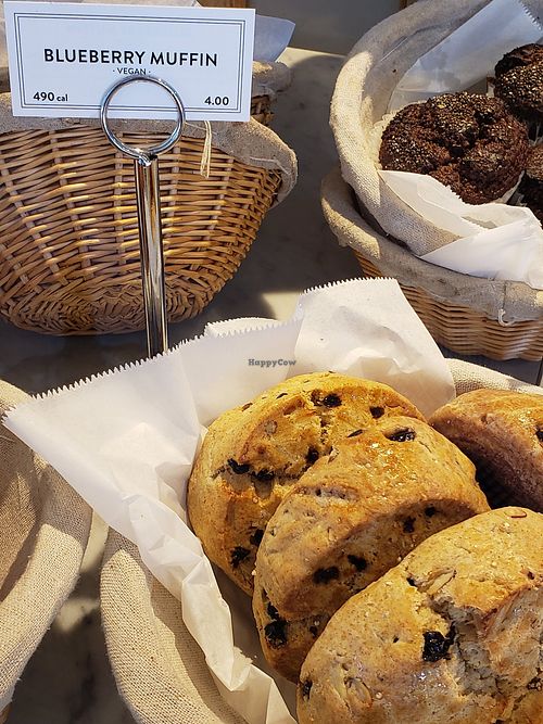 Vegan blueberry muffin at Le Pain Quotidien in Encino