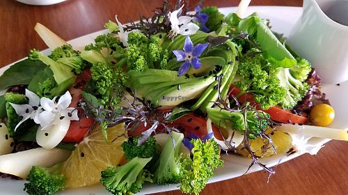 Mixed vegetables plate at Vida Vegan Bistro in Cusco