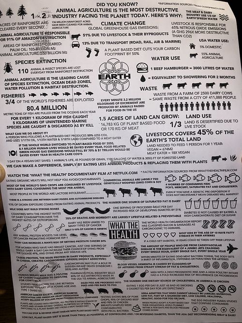 Interesting facts  at Earth Restaurant & Takeaway in Petersfield