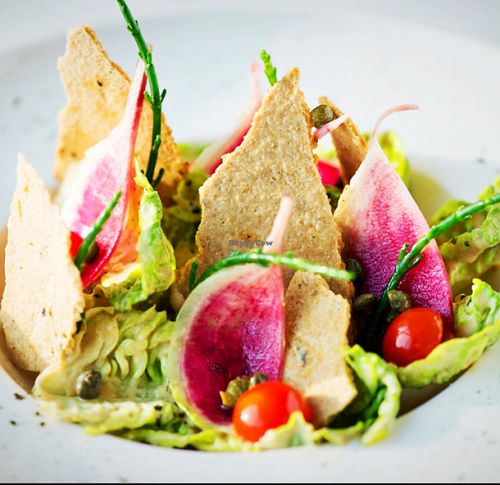 sunflower Caesar  at Plant Cafe in Hamala