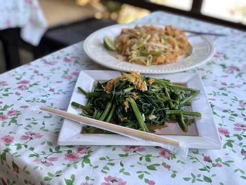 Morning glory  at The Chill in Trat