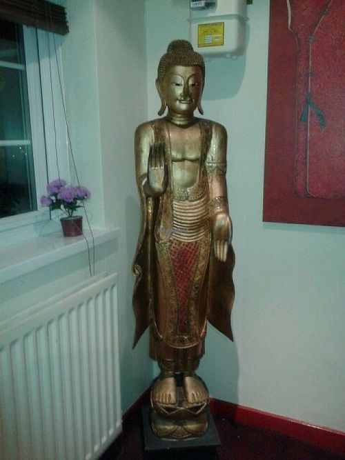 Welcome at Orangegrass in South Shields