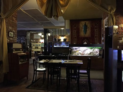 great interior 1 at Otthonka in Budapest