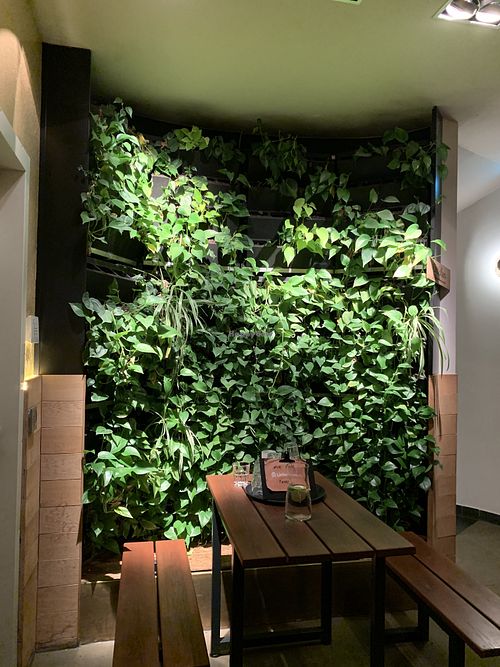 Welcome hall at Peter Pane - Turnhalle in Hamburg