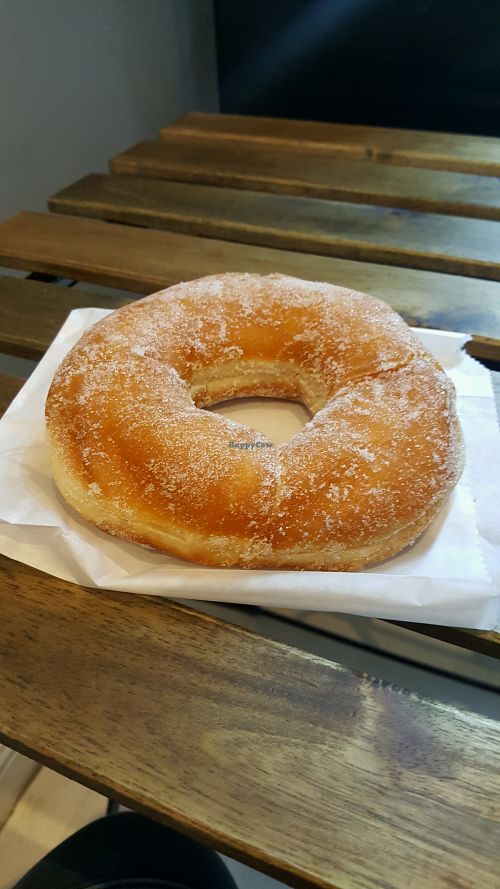 Giant Vegan Donut! at Vegan Picnic in San Francisco