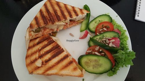 Vegan Sandwich at Cafe Ole in Berlin