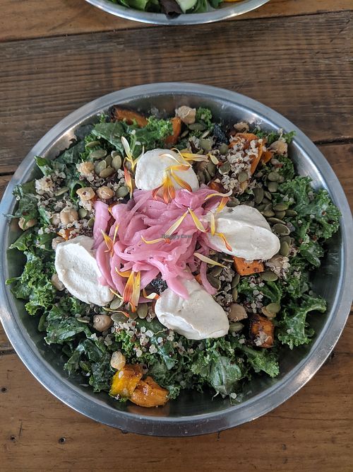 Harvest Salad w vegan cheese 🥗 my favorite at Harvest Cafe in Ventura